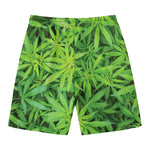 Green Pot Leaf Print Men's Swim Trunks