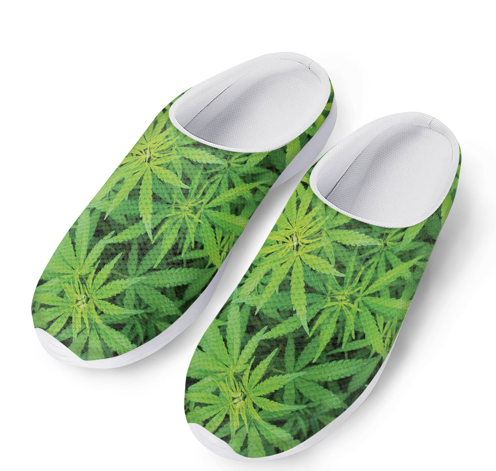 Green Pot Leaf Print Mesh Casual Shoes