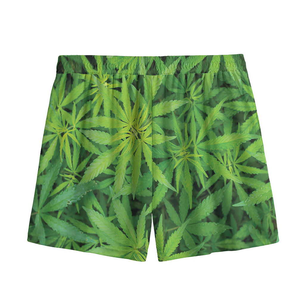 Green Pot Leaf Print Mesh Shorts