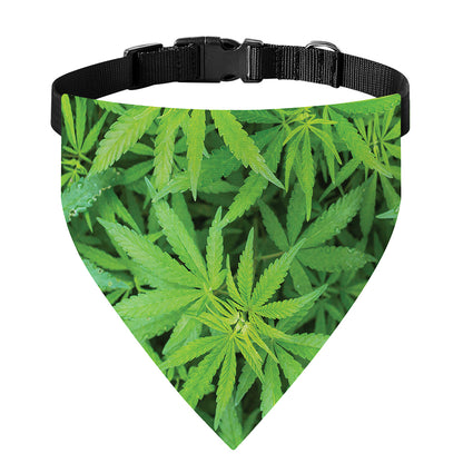 Green Pot Leaf Print Over The Collar Dog Bandana