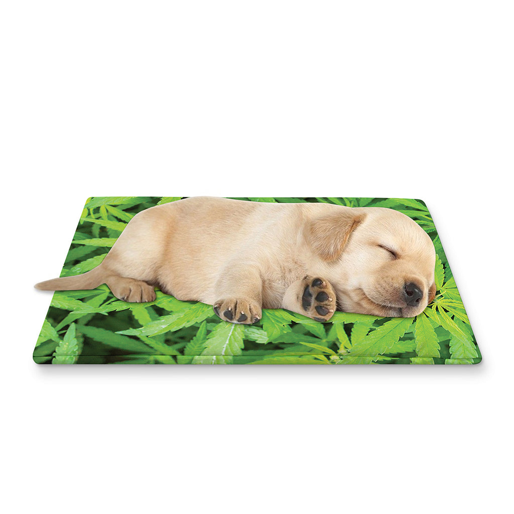 Green Pot Leaf Print Pet Cooling Mat Cover