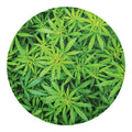 Green Pot Leaf Print Round Blanket