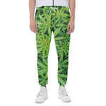 Green Pot Leaf Print Scuba Joggers