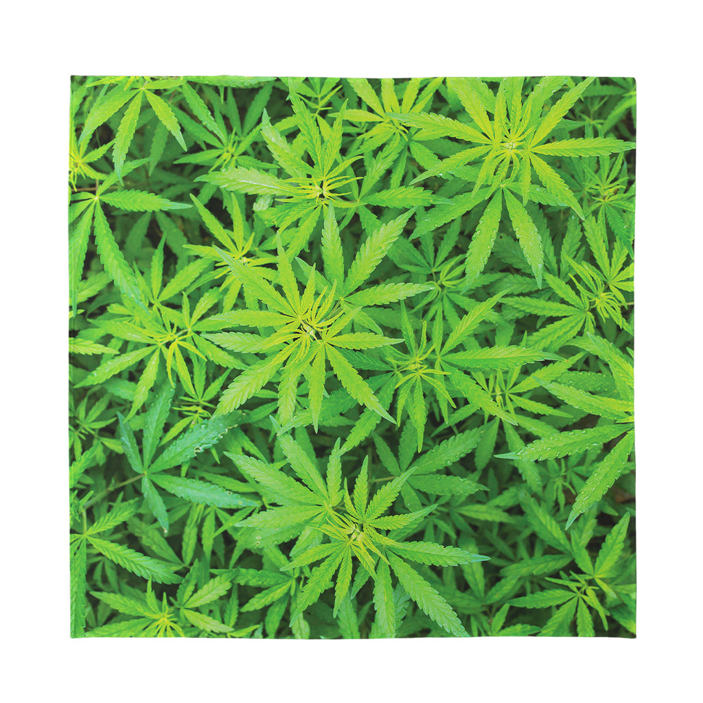 Green Pot Leaf Print Silk Bandana