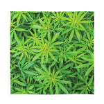 Green Pot Leaf Print Silk Bandana