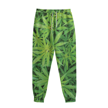 Green Pot Leaf Print Sweatpants