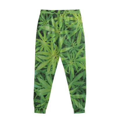 Green Pot Leaf Print Sweatpants