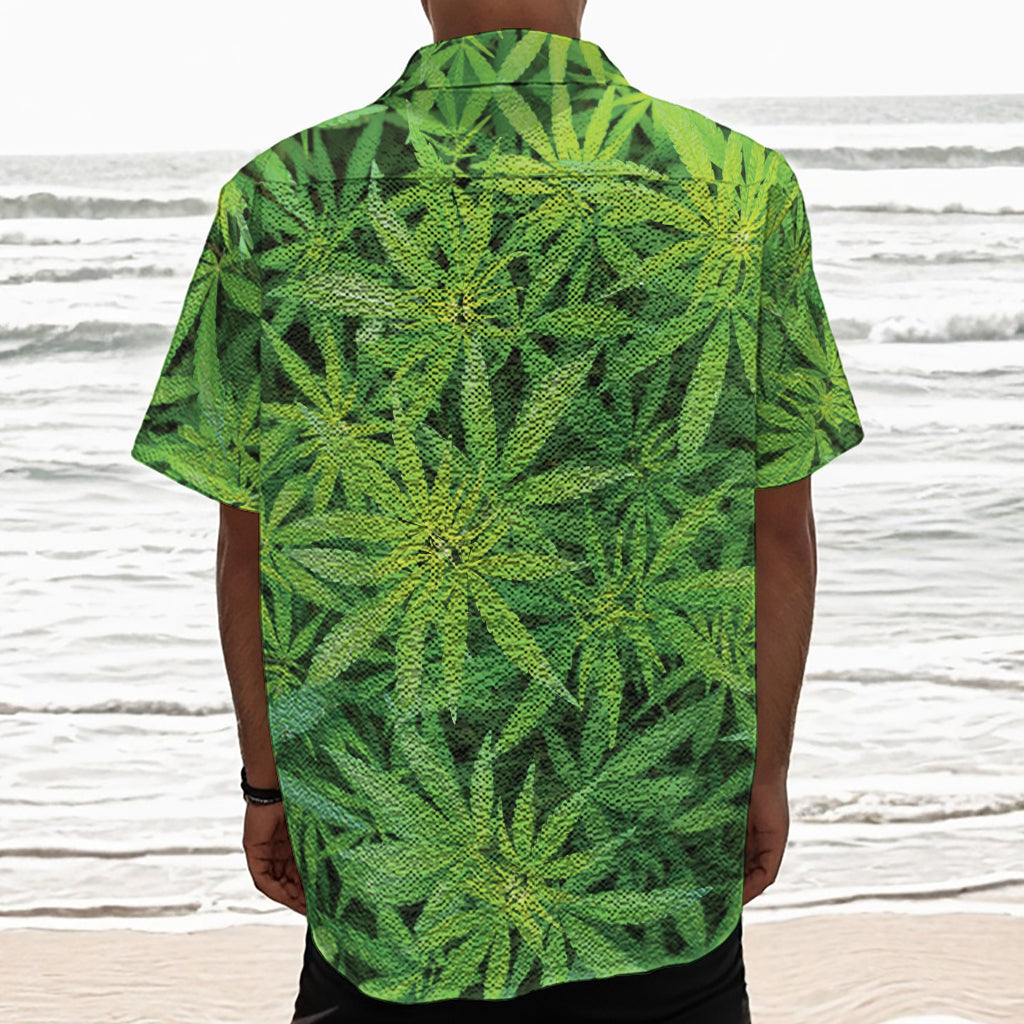 Green Pot Leaf Print Textured Short Sleeve Shirt