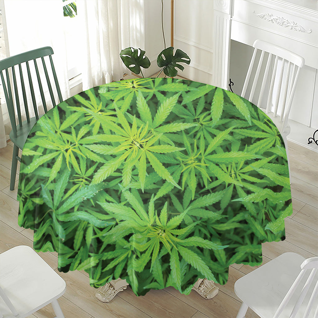 Green Pot Leaf Print Waterproof Round Tablecloth