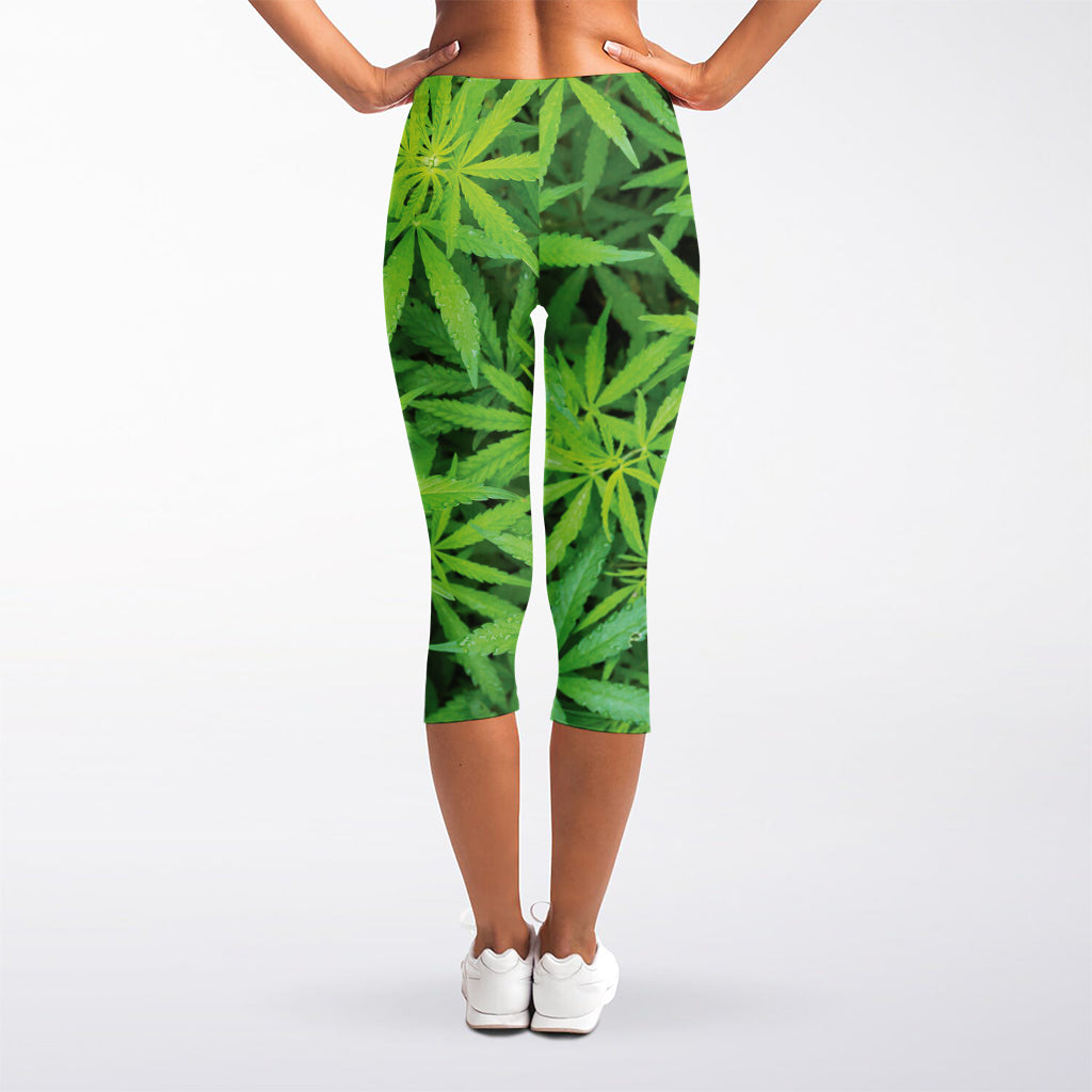 Green Pot Leaf Print Women's Capri Leggings