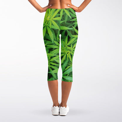 Green Pot Leaf Print Women's Capri Leggings