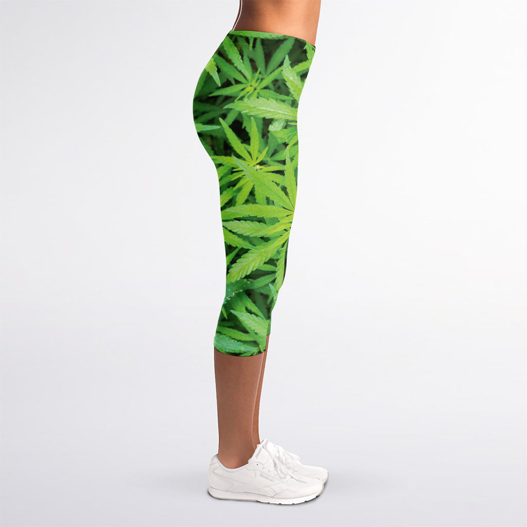 Green Pot Leaf Print Women's Capri Leggings