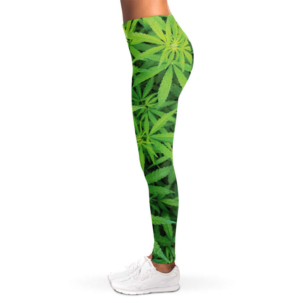 Green Pot Leaf Print Women's Leggings