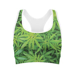 Green Pot Leaf Print Women's Sports Bra