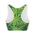 Green Pot Leaf Print Women's Sports Bra