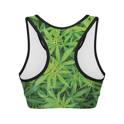 Green Pot Leaf Print Women's Sports Bra