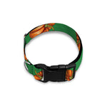 Green Pumpkin Pattern Print Dog Collar