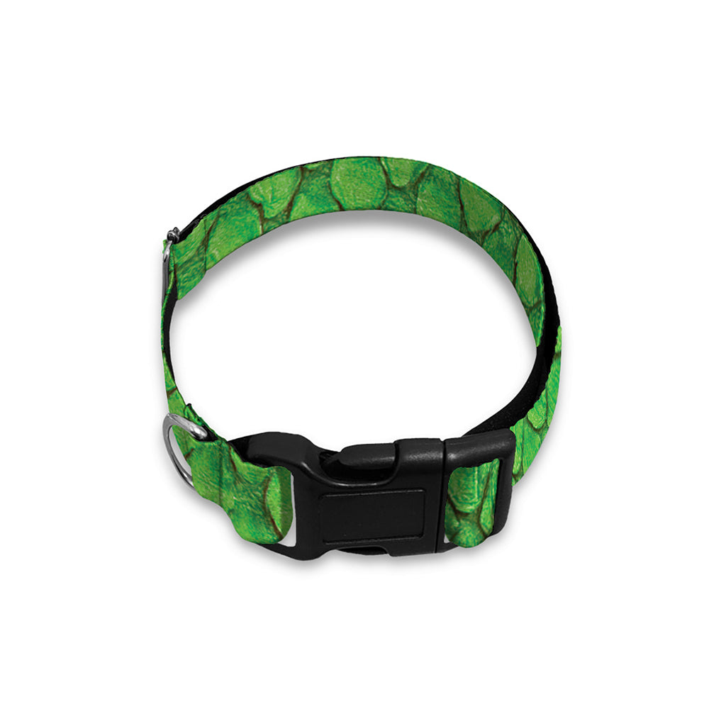 Green Python Snakeskin Print Dog Collar
