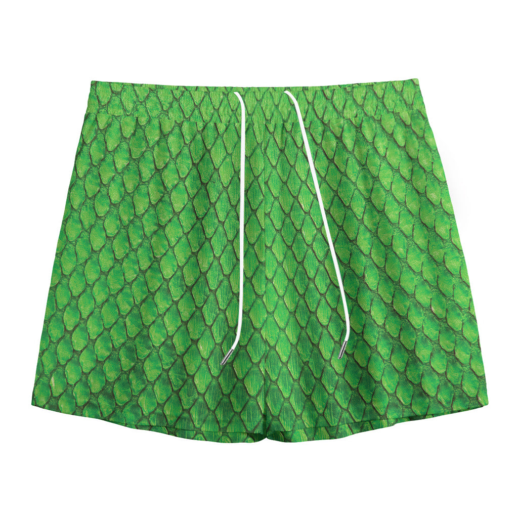 Green Python Snakeskin Print Mesh Shorts