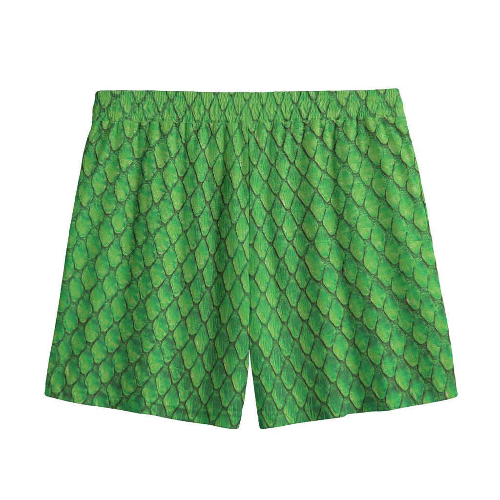 Green Python Snakeskin Print Mesh Shorts