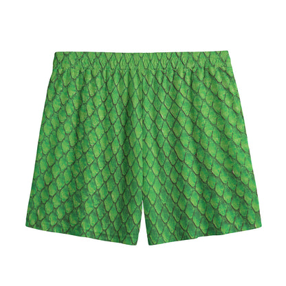 Green Python Snakeskin Print Mesh Shorts