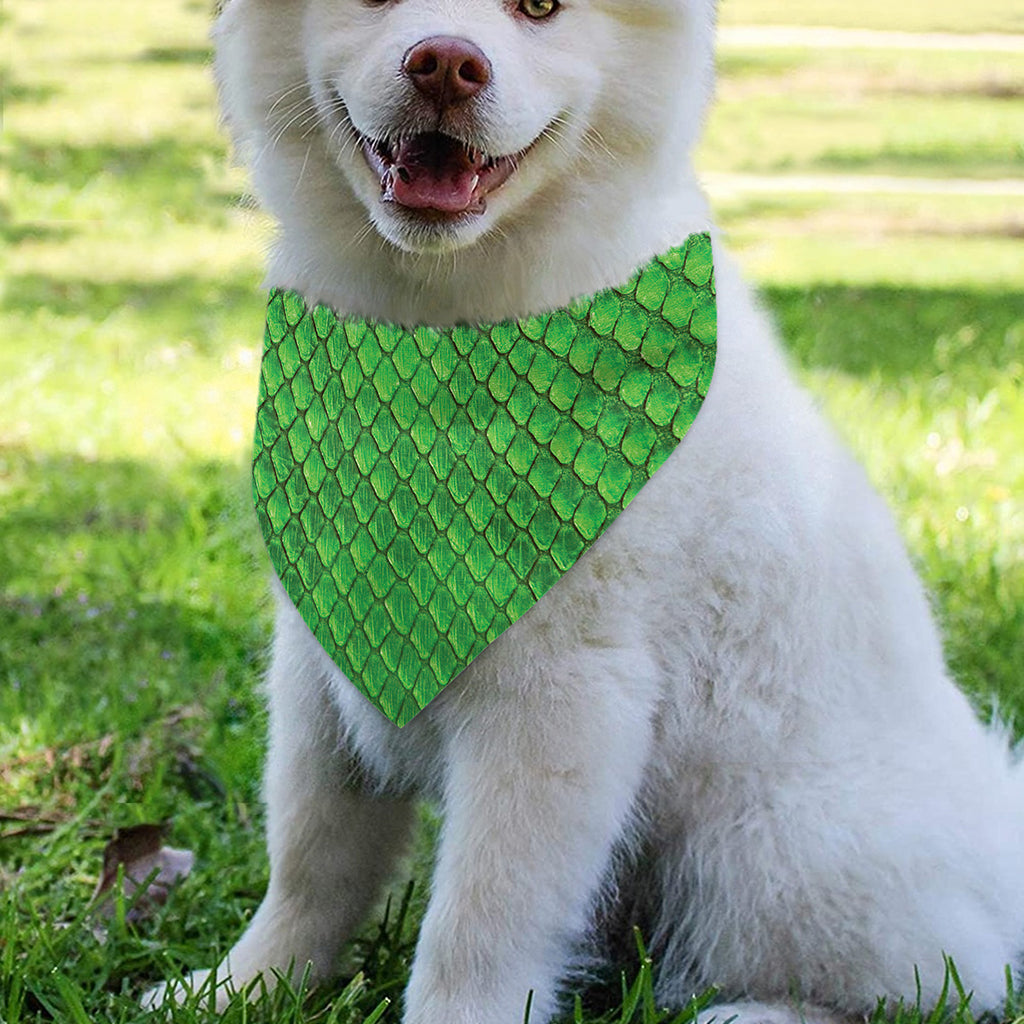 Green Python Snakeskin Print Over The Collar Dog Bandana