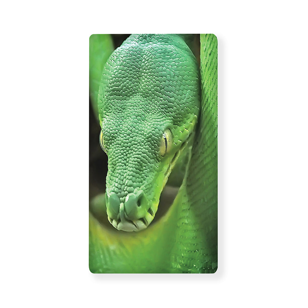 Green Reticulated Python Snake Print Baby Crib Sheet