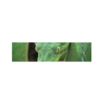 Green Reticulated Python Snake Print Bed Runner