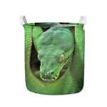 Green Reticulated Python Snake Print Collapsible Laundry Basket