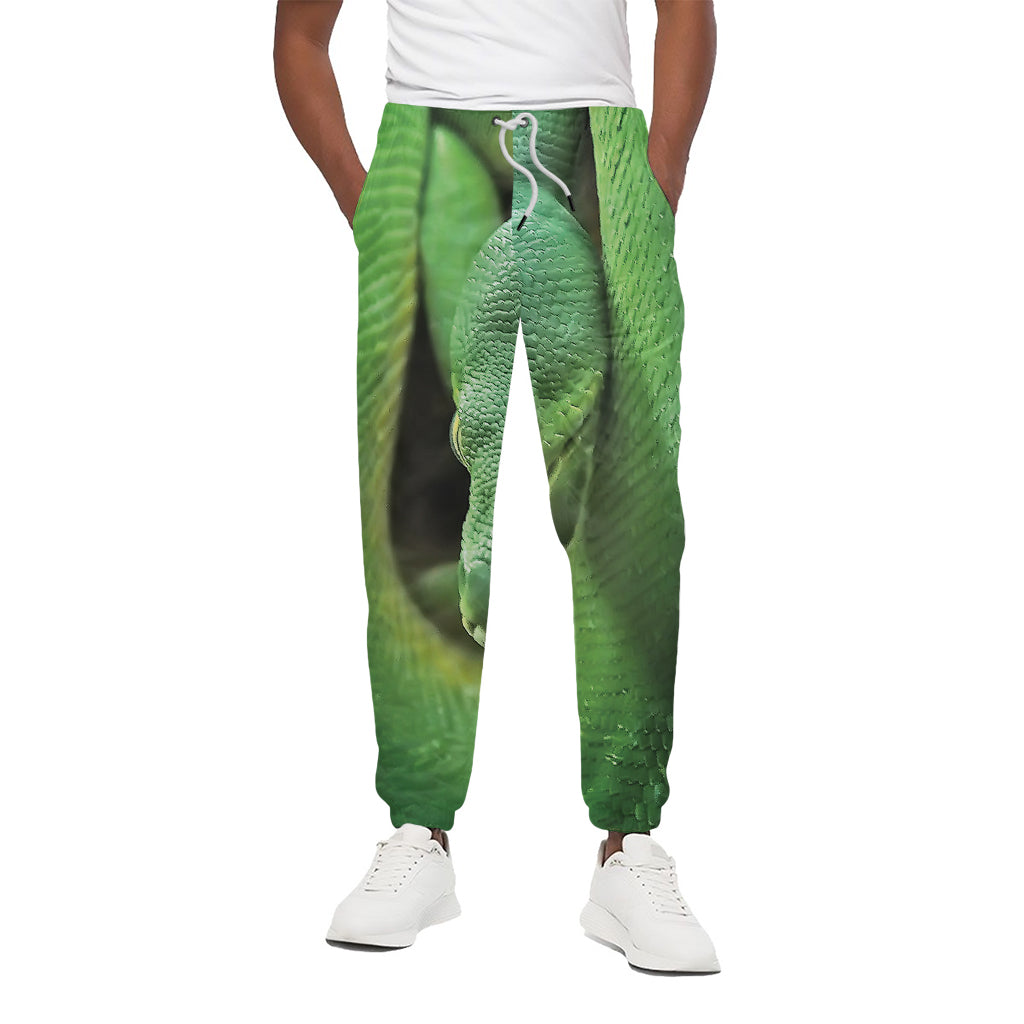 Green Reticulated Python Snake Print Cotton Pants
