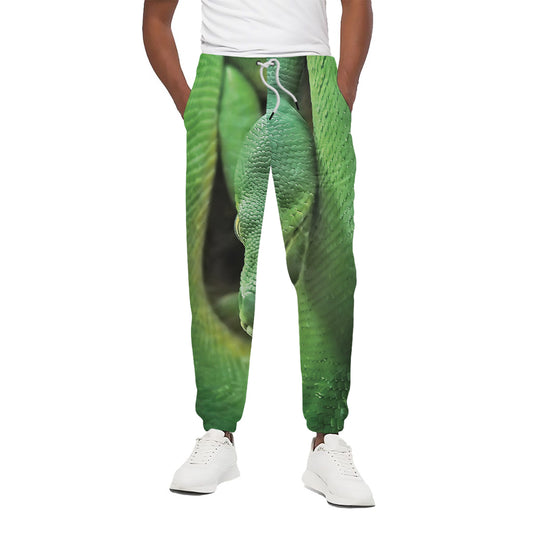 Green Reticulated Python Snake Print Cotton Pants