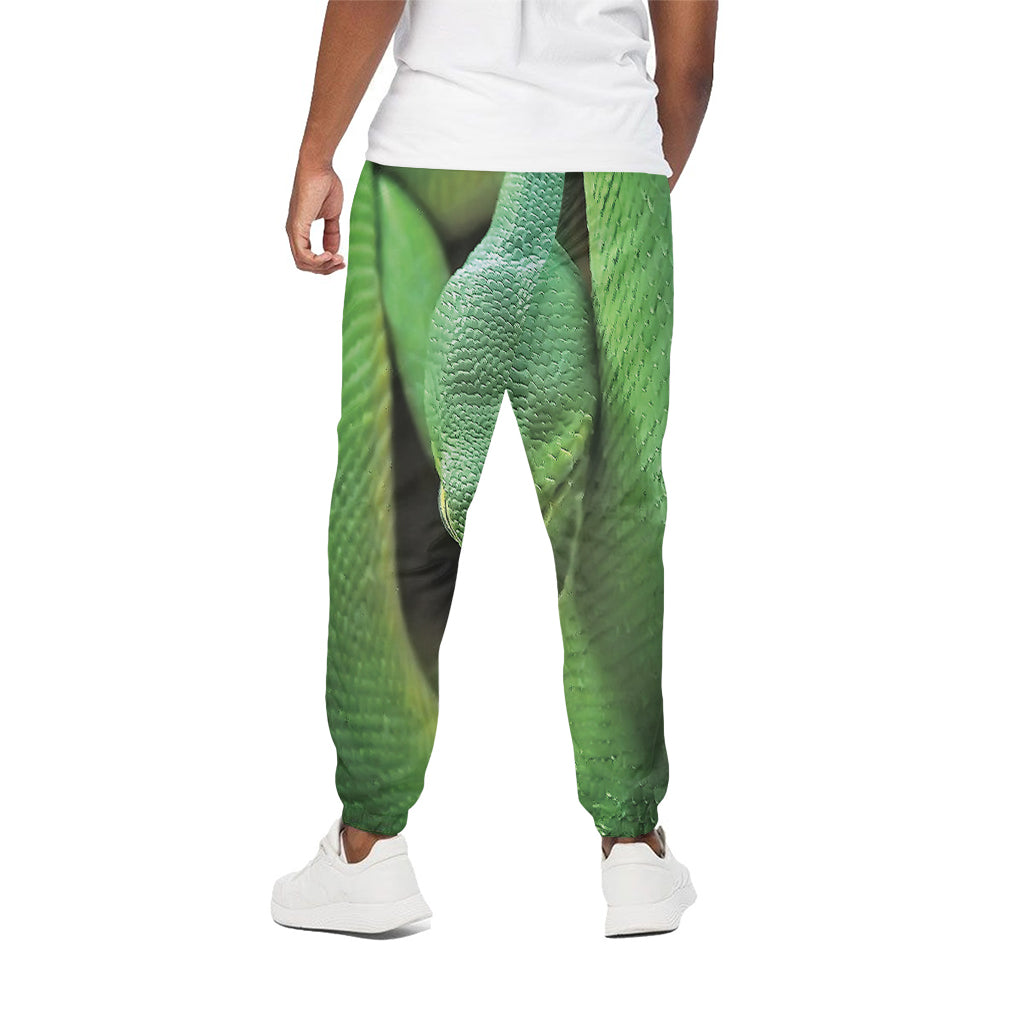 Green Reticulated Python Snake Print Cotton Pants