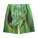 Green Reticulated Python Snake Print Cotton Shorts