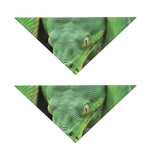 Green Reticulated Python Snake Print Dog Bandana