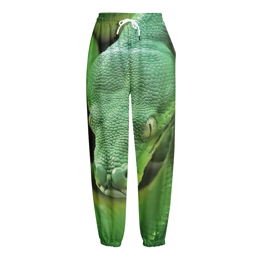 Green Reticulated Python Snake Print Fleece Lined Knit Pants