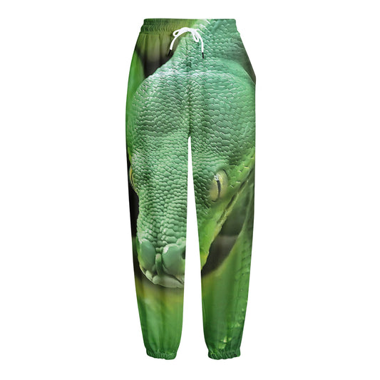 Green Reticulated Python Snake Print Fleece Lined Knit Pants