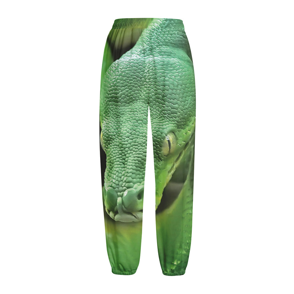 Green Reticulated Python Snake Print Fleece Lined Knit Pants