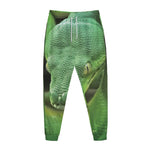 Green Reticulated Python Snake Print Jogger Pants