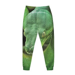 Green Reticulated Python Snake Print Jogger Pants