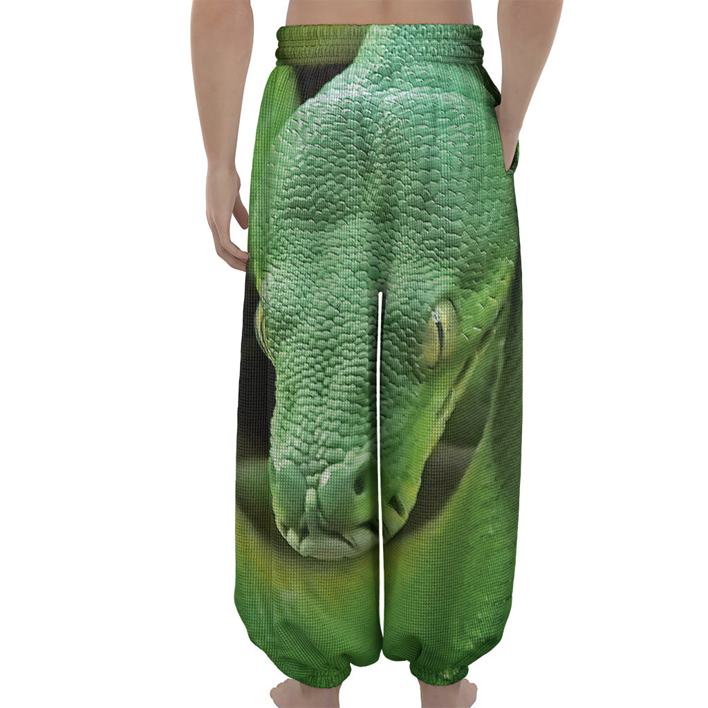 Green Reticulated Python Snake Print Lantern Pants
