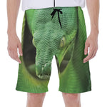 Green Reticulated Python Snake Print Men's Beach Shorts