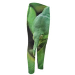Green Reticulated Python Snake Print Men's Compression Pants