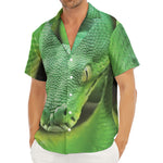 Green Reticulated Python Snake Print Men's Deep V-Neck Shirt