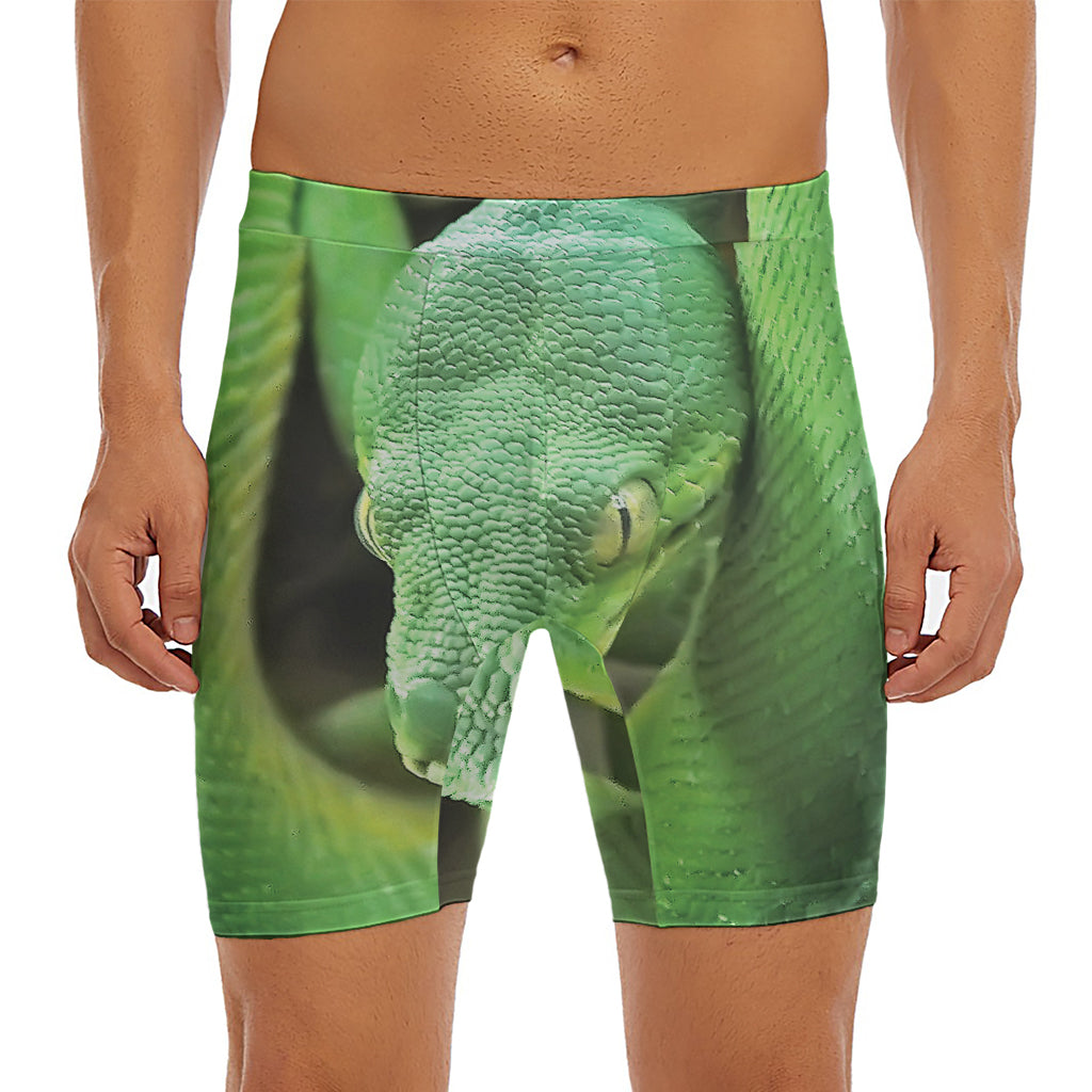 Green Reticulated Python Snake Print Men's Long Boxer Briefs