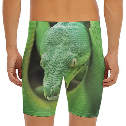 Green Reticulated Python Snake Print Men's Long Boxer Briefs