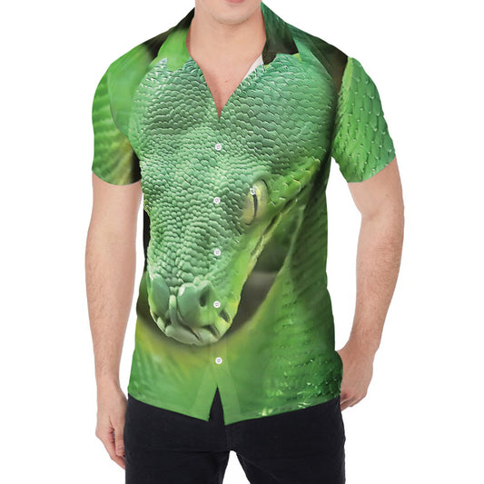 Green Reticulated Python Snake Print Men's Shirt