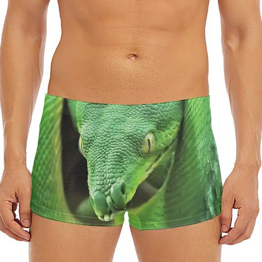 Green Reticulated Python Snake Print Men's Short Boxer Briefs