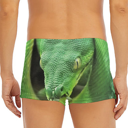 Green Reticulated Python Snake Print Men's Short Boxer Briefs