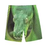 Green Reticulated Python Snake Print Men's Sports Shorts