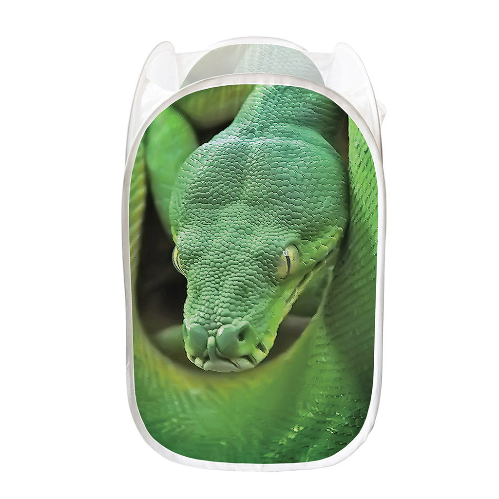 Green Reticulated Python Snake Print Mesh Laundry Hamper